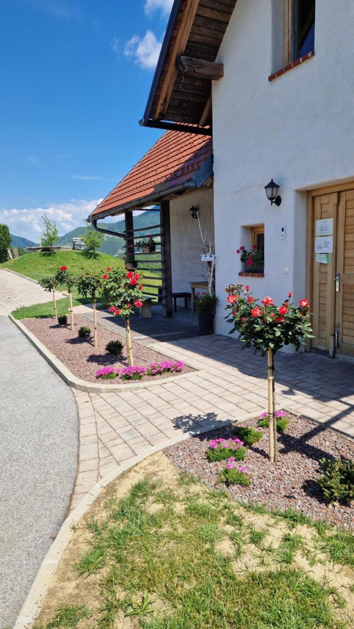 Relax Guest House Marjanca Рогашка Слатина Экстерьер фото