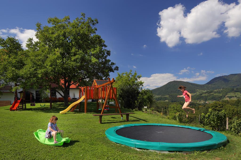 Relax Guest House Marjanca Рогашка Слатина Экстерьер фото